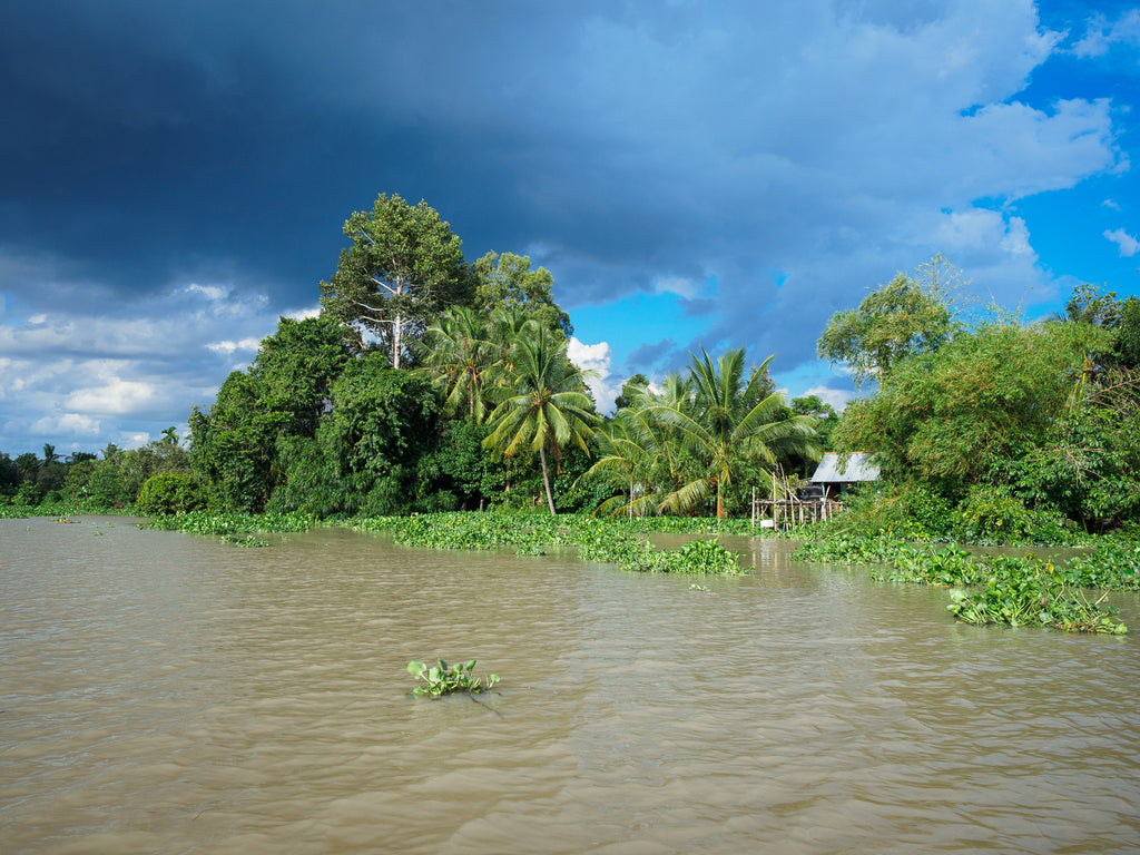 Saigon River boat tour to Cu Chi tunnels